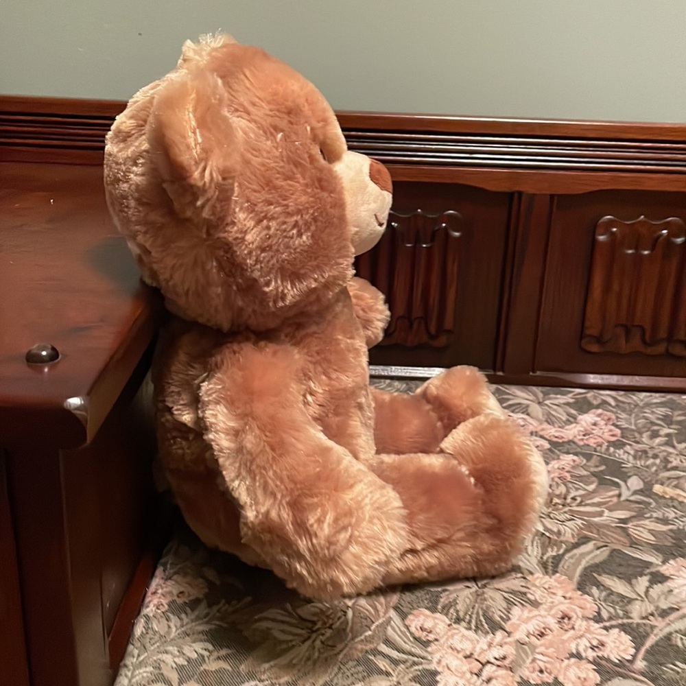 Build-A-Bear - Picture 3 of 11